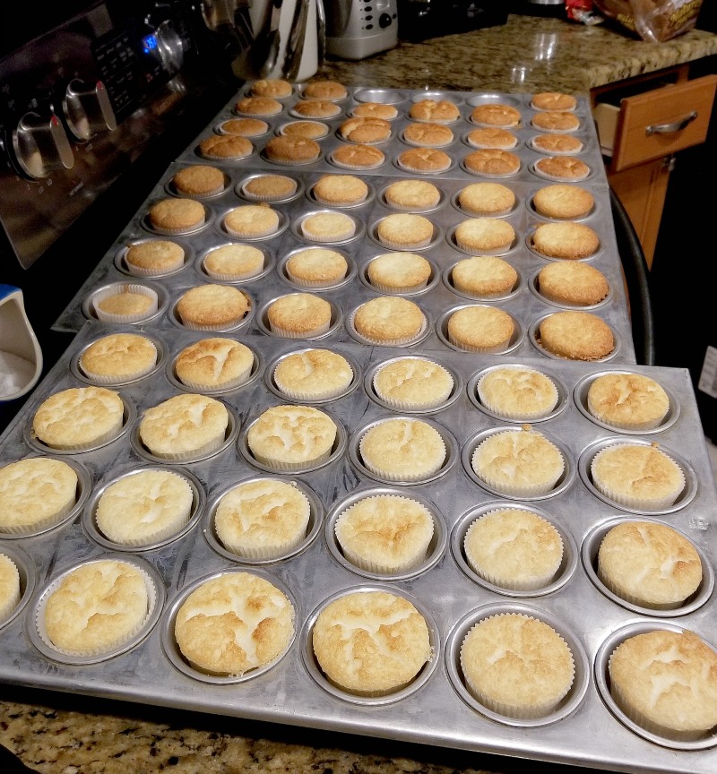 cupcakes in their pans; arranged back to front, light to dark in doneness of cooking
