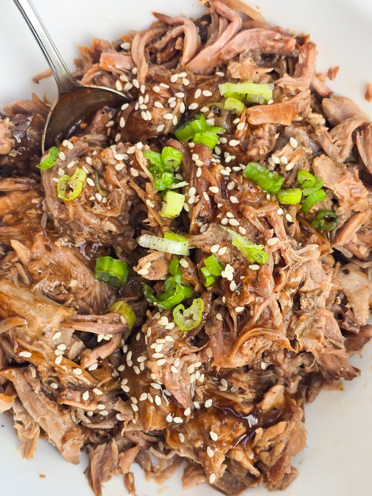 teriyaki pulled pork in bowl with spoon