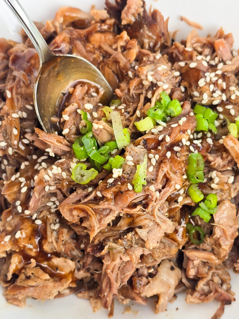 teriyaki pulled pork in bowl with spoon